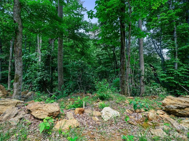 000 Ogles Gap Road, Burnsville, NC 28714