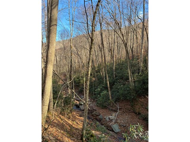000 Ogles Gap Road, Burnsville, NC 28714