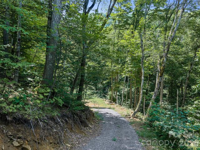 000 Ogles Gap Road, Burnsville, NC 28714