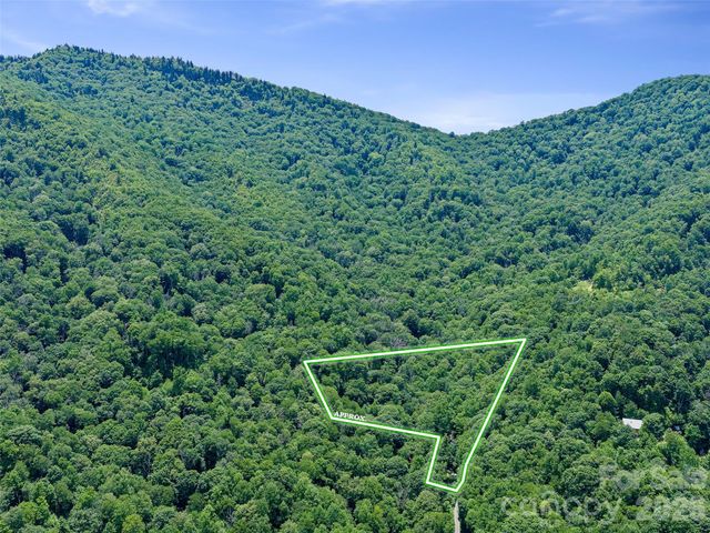 000 Ogles Gap Road, Burnsville, NC 28714