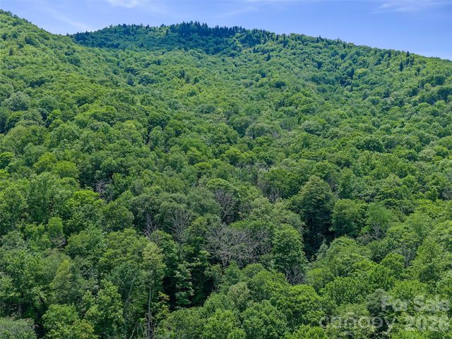 000 Ogles Gap Road, Burnsville, NC 28714