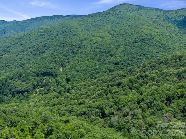 000 Ogles Gap Road, Burnsville, NC 28714