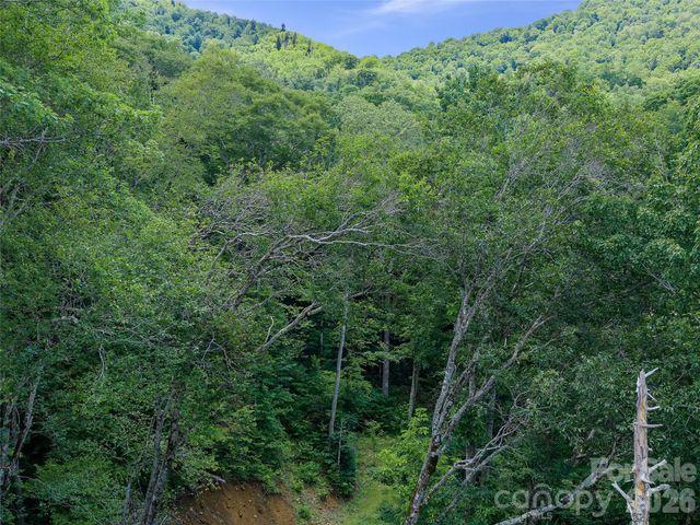 000 Ogles Gap Road, Burnsville, NC 28714