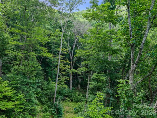 000 Ogles Gap Road, Burnsville, NC 28714