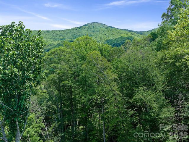000 Ogles Gap Road, Burnsville, NC 28714