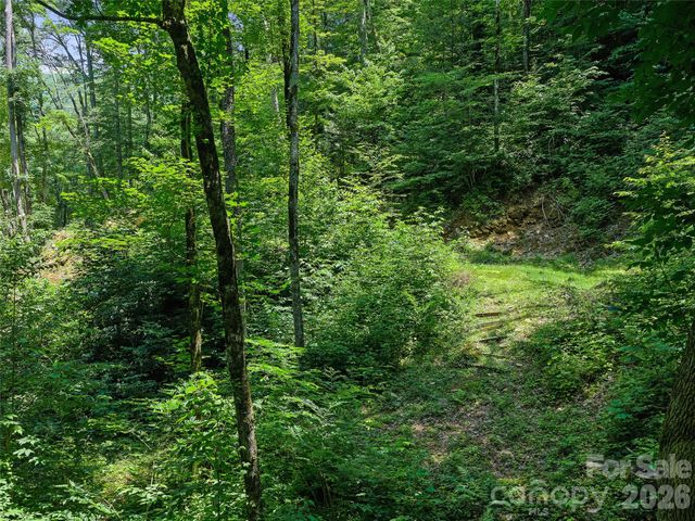 000 Ogles Gap Road, Burnsville, NC 28714