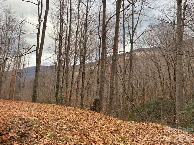 000 Ogles Gap Road, Burnsville, NC 28714