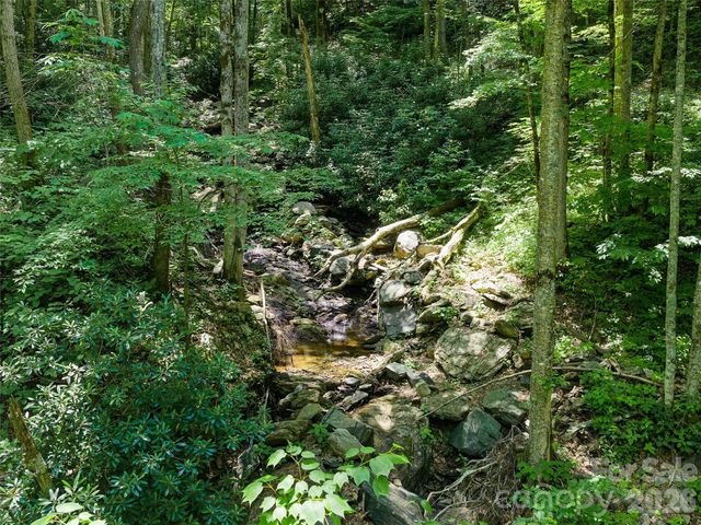 000 Ogles Gap Road, Burnsville, NC 28714
