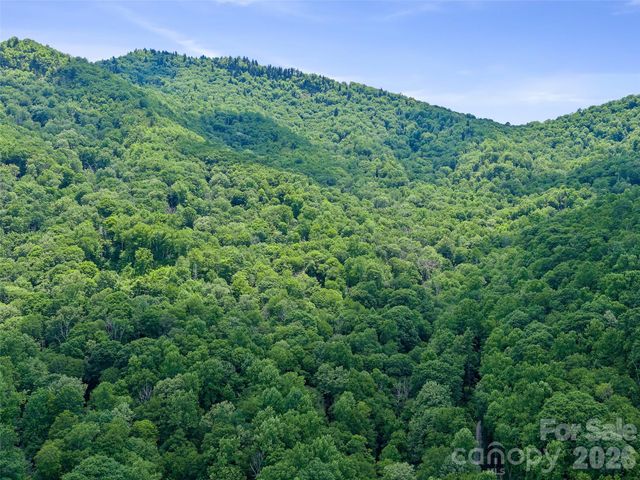 000 Ogles Gap Road, Burnsville, NC 28714