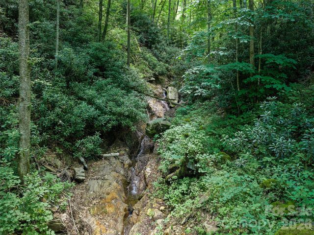 000 Ogles Gap Road, Burnsville, NC 28714