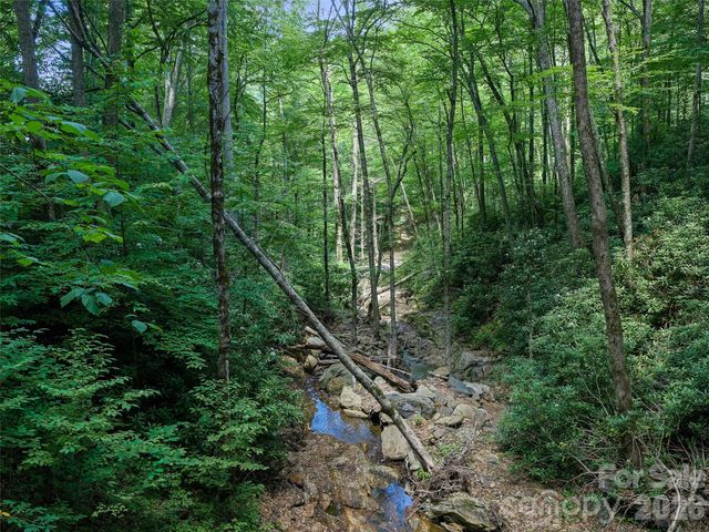 000 Ogles Gap Road, Burnsville, NC 28714