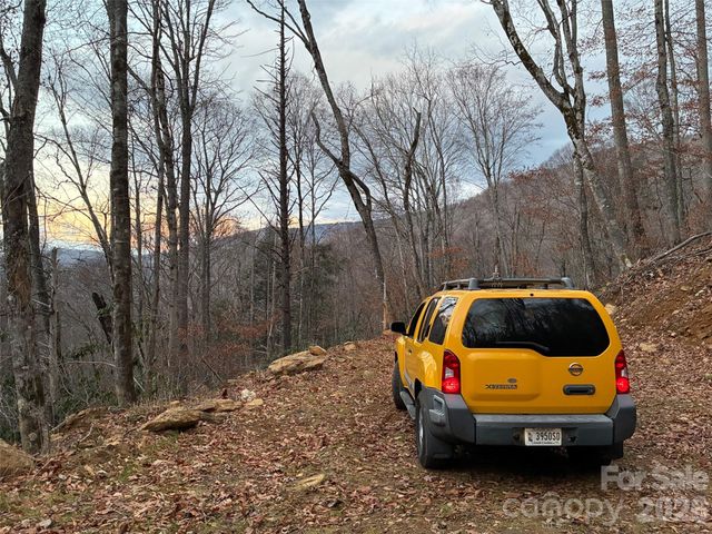 000 Ogles Gap Road, Burnsville, NC 28714