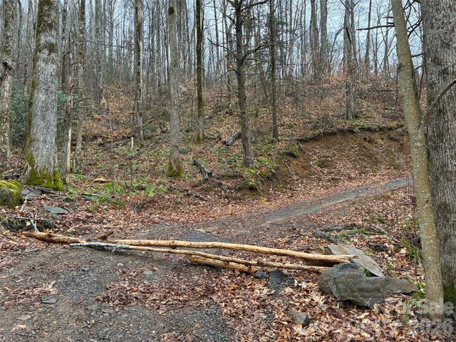 000 Ogles Gap Road, Burnsville, NC 28714