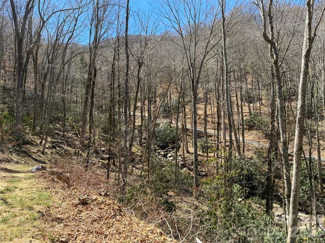 000 Ogles Gap Road, Burnsville, NC 28714