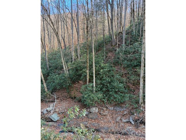 000 Ogles Gap Road, Burnsville, NC 28714