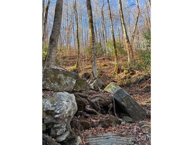 000 Ogles Gap Road, Burnsville, NC 28714