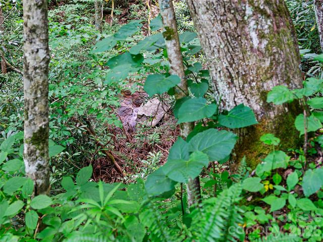 000 Ogles Gap Road, Burnsville, NC 28714