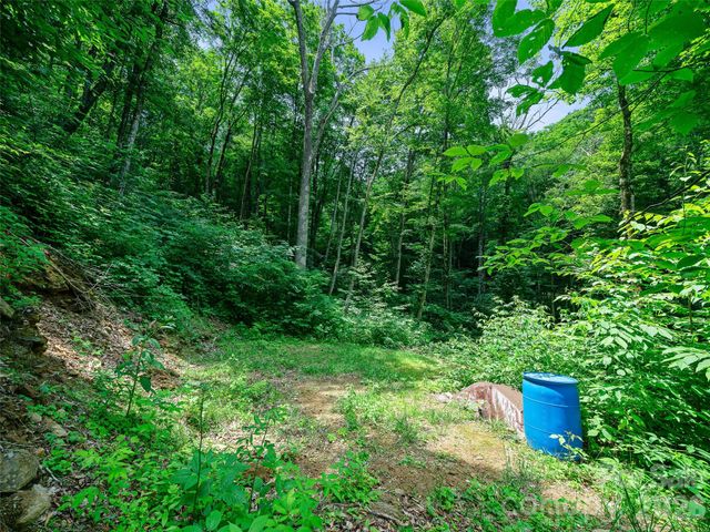 000 Ogles Gap Road, Burnsville, NC 28714