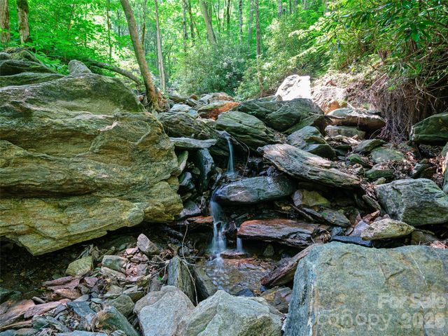 000 Ogles Gap Road, Burnsville, NC 28714