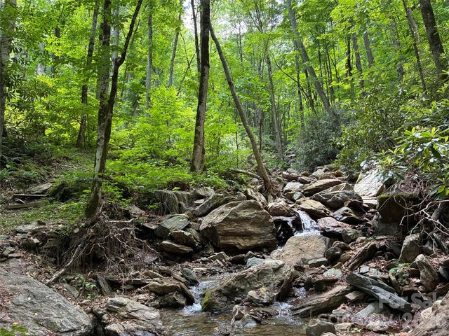 000 Ogles Gap Road, Burnsville, NC 28714