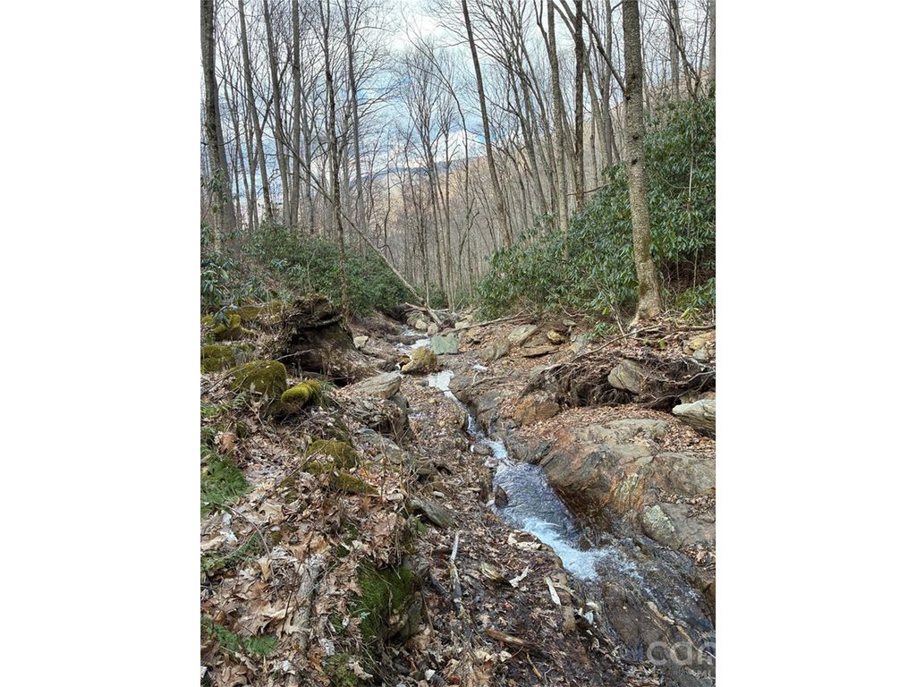 000 Ogles Gap Road, Burnsville, NC 28714