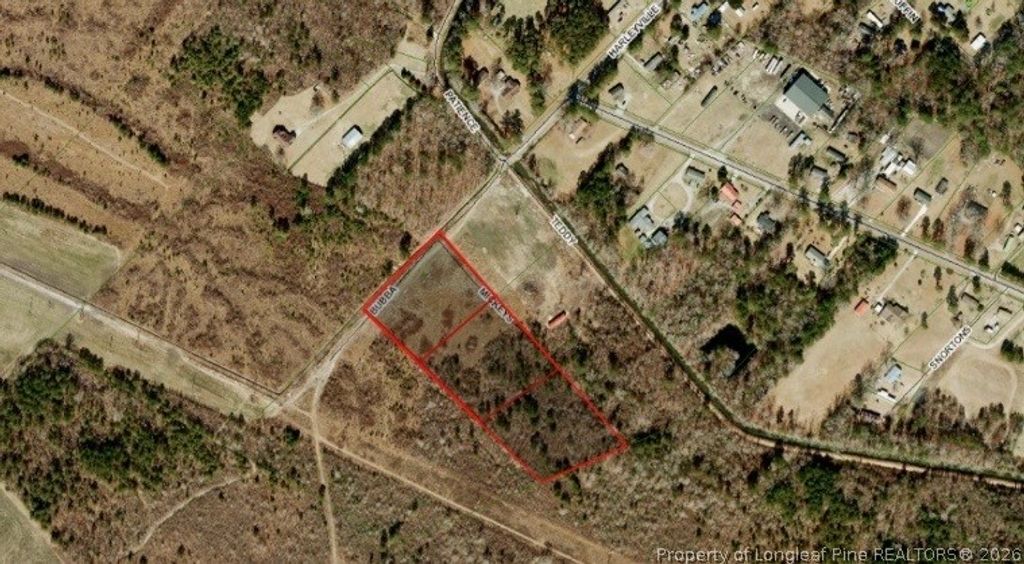 Harleyville Road, Rowland, NC 28383 — photo 2
