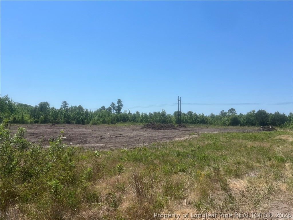 Harleyville Road, Rowland, NC 28383 — photo 4