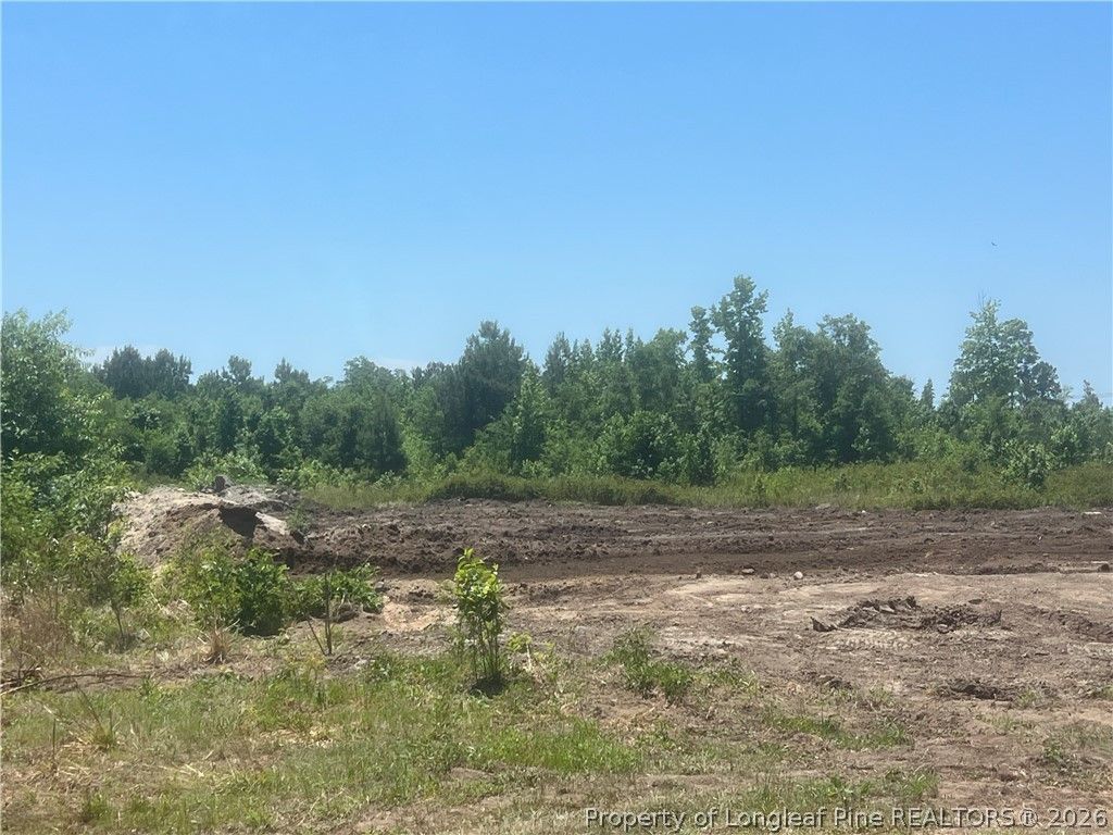 Harleyville Road, Rowland, NC 28383 — photo 5