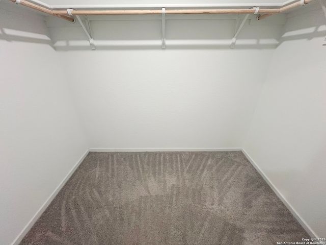 14102 Enfield Falls, San Antonio, TX 78245