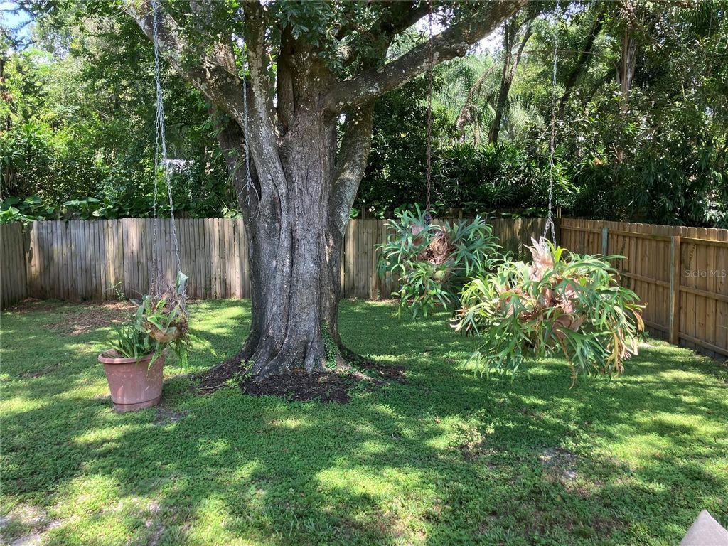 Image 17 of property listing at 3440 LAUREL DALE DRIVE, Tampa, FL 33618