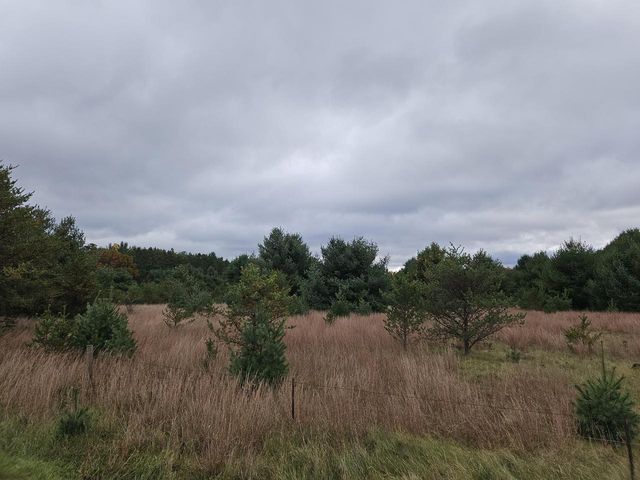 N2743 County Road O, Warrens, WI 54666