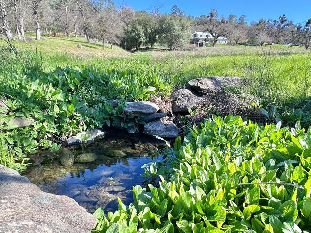 1933 Appaloosa Way, Angels Camp, CA 95222