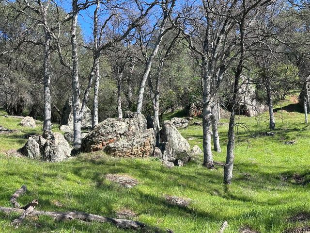 1933 Appaloosa Way, Angels Camp, CA 95222