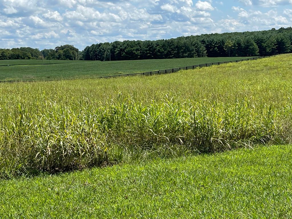 40 Beacon Street, Russell Springs, KY 42642