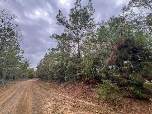 T-1 Fm 1012, Newton, TX 75966