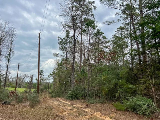 T-1 Fm 1012, Newton, TX 75966