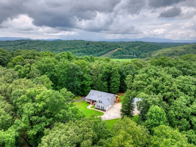 226 Bailey Farm Drive, Mineral Bluff, GA 30559