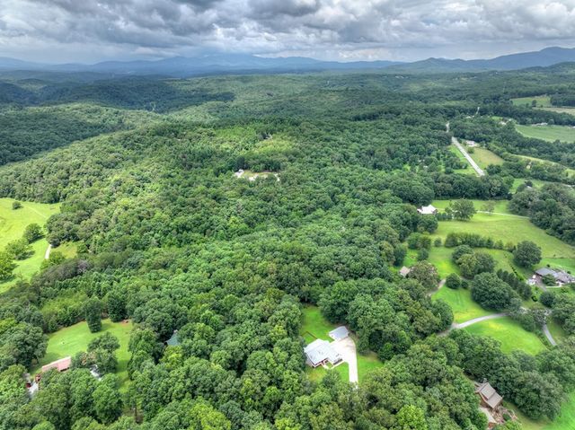 226 Bailey Farm Drive, Mineral Bluff, GA 30559