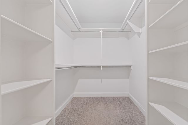 8007 June Apple Ln, Spring Hill, TN 37174