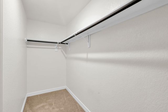 201 Rose Gum Court, Willis, TX 77318