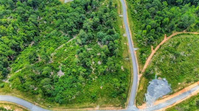 LT 128 Twisted Oak Road, Talking Rock, GA 30175