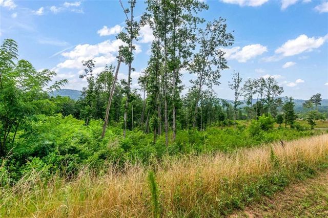 LT 128 Twisted Oak Road, Talking Rock, GA 30175