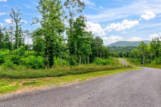 LT 128 Twisted Oak Road, Talking Rock, GA 30175