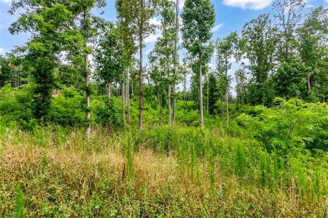 LT 128 Twisted Oak Road, Talking Rock, GA 30175