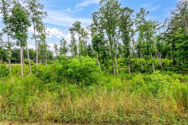 LT 128 Twisted Oak Road, Talking Rock, GA 30175