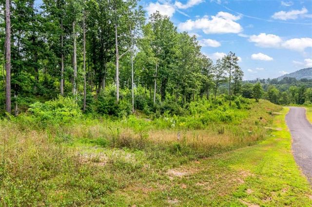 LT 128 Twisted Oak Road, Talking Rock, GA 30175