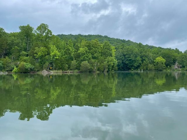 313 Ben Myers Ln, Gainesboro, TN 38562