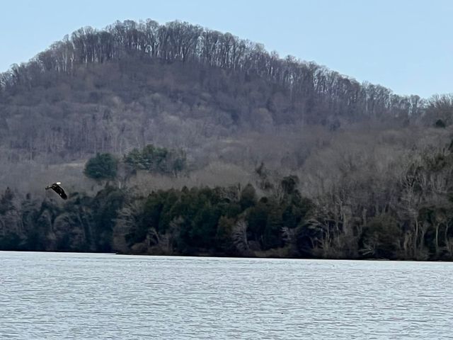 313 Ben Myers Ln, Gainesboro, TN 38562
