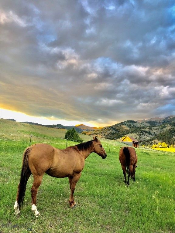 8350 Sypes Canyon Road, Bozeman, MT 59715 photo 15