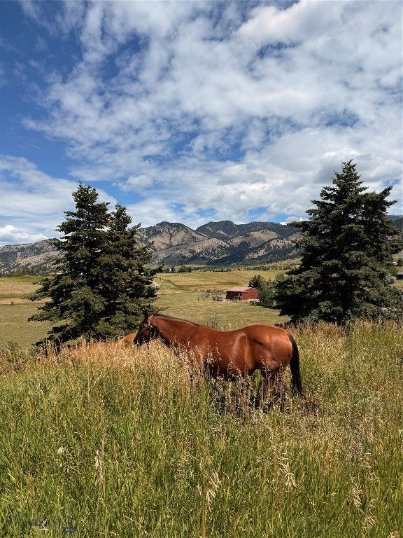 8350 Sypes Canyon Road, Bozeman, MT 59715 photo 16